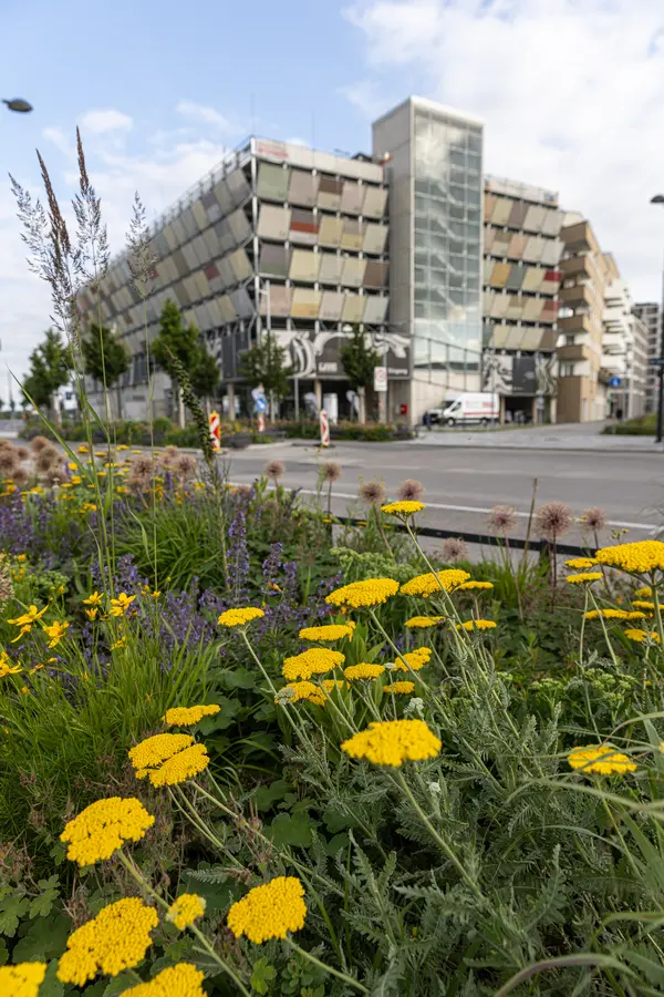 klimaaktiv mobil Auszeichnung 4. Juni 2024